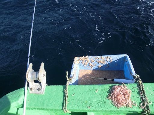 2013.12.21 宮崎青島沖(黄金瀬)クロ釣行 : 『釣りは楽しく』 花