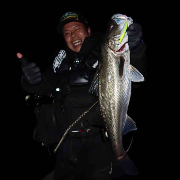 シーバス引退　カゲロウ等あり　バラ不可 シーバス引退 カゲロウ等あり バラ不可