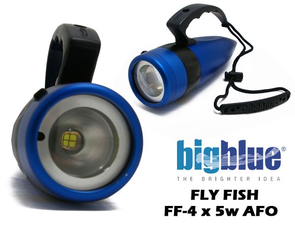 BIG BLUE FF4X5 MCE搭載 水中ライト : アカリセンター公式ブログ