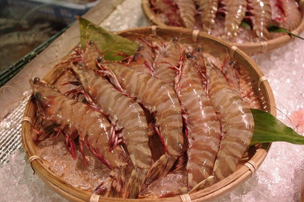 悲報 有識者 エビはほぼ虫です 好奇心 Net 悲報 有識者 エビはほぼ虫です 好奇心 Net