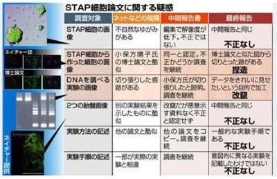 小保方晴子の私服 21万円グッチの春ワンピ デヴィ夫人が放ったキツイひと言がこちらｗｗｗｗｗｗ 画像あり 細かいことが気になります