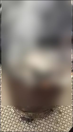 金子明日香 神戸の女が猫を窯で焼く虐待動画をfacebookに公開で炎上 警察に通報した結果 驚くべき犯行の動機が明らかに 画像あり Newsまとめもりー 2chまとめブログ Linkis Com