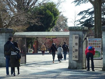 新宿区の坂 穴八幡 土曜日の昼は東京めぐり