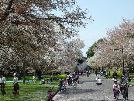 狭山境緑道 土曜日の昼は東京めぐり