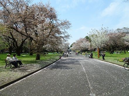 狭山境緑道 土曜日の昼は東京めぐり