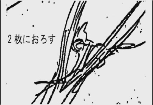 テイルズオブジアビス 理系人の考えるゆめうつつ テイルズオブジアビス 理系人の考えるゆめうつつ
