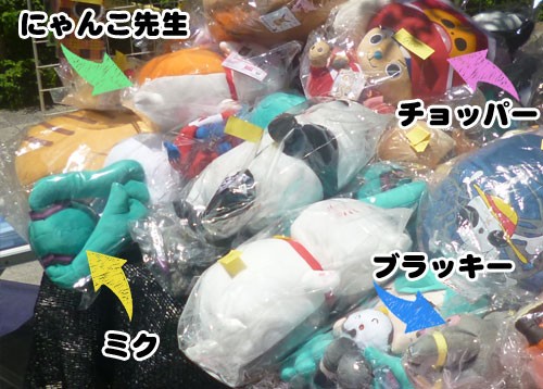 秋葉原でアニメグッズ探してみた ぬいぐるみ 抱き枕が格安 W 秋葉原フリーマーケット調査隊