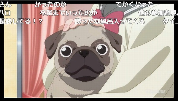 ラブライブ サンシャイン 2期 13話 ニコ生 またしても最終回でアンケの滝落しで49 3 ｯｯｯ アキブラ