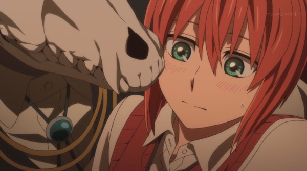 魔法使いの嫁 13話 感想 初っ端から不穏ですが 二人がイチャイチャしてるのでオールokです アキブラ