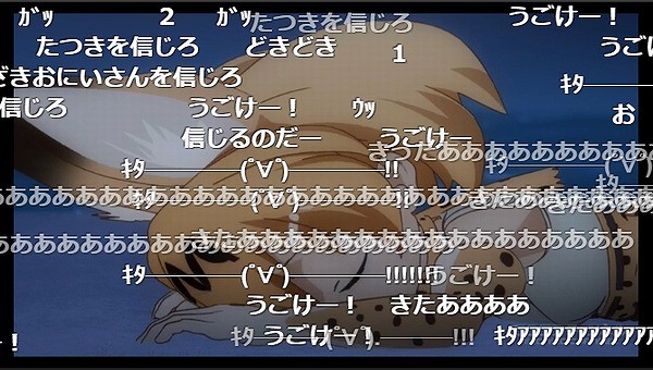 けものフレンズ 12話 ニコ生 来場者数25万を超え コメント数125万を記録し アンケ98 2 で伝説となるフレンズ アキブラ