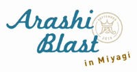 モカさま 嵐 宮城ライヴ  挨拶シャッフル 嵐ブラスト宮城（9/20）レポ①ワイハ〜青キミ＋挨拶 | ○。 Love