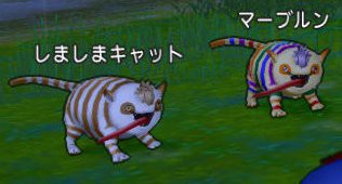 転生狩り マーブルン どらくえだいすき ドラクエ10