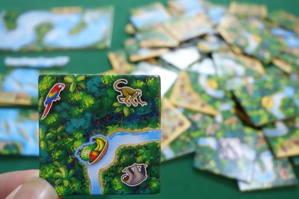 カルカソンヌ アマゾン Carcassonne Amazonas 開封の儀 ある元心理カウンセラーのボードゲーム日記