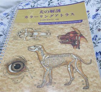 犬の解剖カラーリングアトラス きゃばりこ記