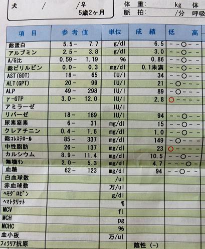胆泥あったからやった血液検査 きゃばりこ記
