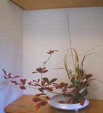 星のいけばな 20230410 連翹レンギョウ アイリス 鳴子百合 Forsythia Iris