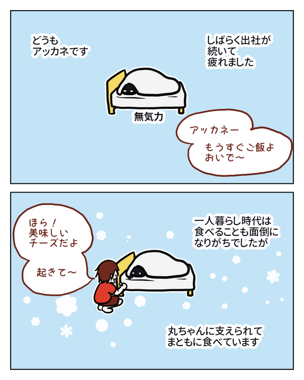 無気力嫁 つられる 夢みるショコラティエ丸ちゃん 隣のアッカネのブログ 無気力嫁 つられる 夢みるショコラティエ丸ちゃん 隣のアッカネのブログ