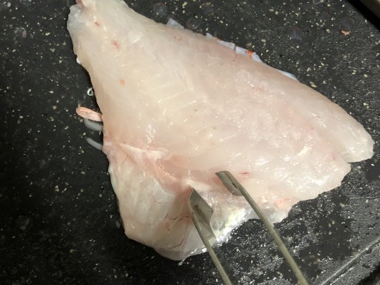 オニカサゴの霜降り造り 主婦でもお魚は簡単に捌けますpart2 Super Slow Iegohan 毎日呑んでもダイエット ボディメイクおつまみ オニカサゴの霜降り造り 主婦でもお魚は簡単に捌けますpart2 Super Slow Iegohan 毎日呑んでもダイエット ボディメイクおつまみ