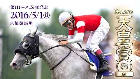 第１５３回天皇賞 春 Gi 予想 週末限定 １５時からの中央競馬