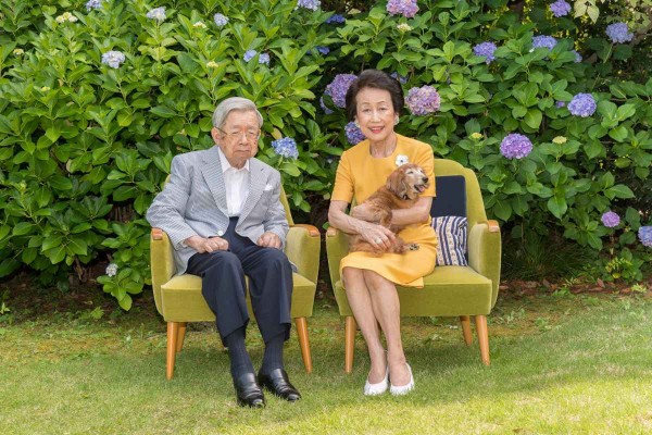 国際的研究者としての歩み｜常陸宮正仁親王殿下とがん研究の功績