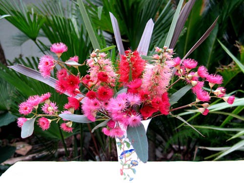 総集編・・・オージープランツ : Alex's Garden Party♪