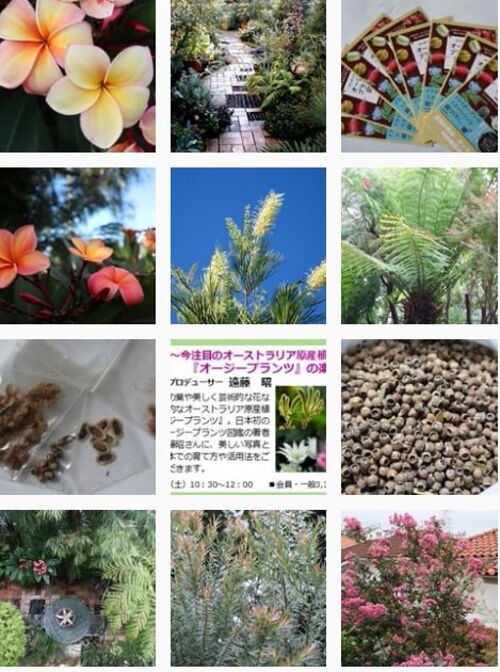 インスタ1周年 Alex S Garden Party