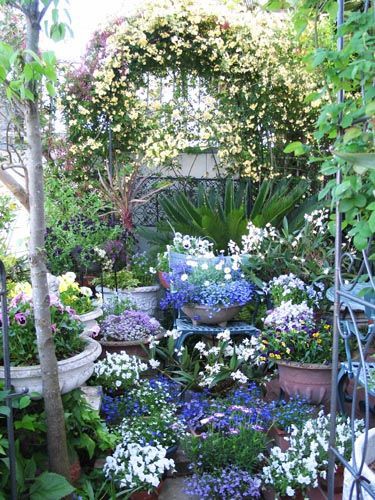 初夏を夢見て その５ Alex S Garden Party