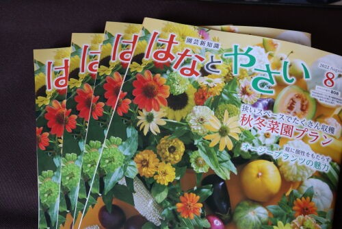 タキイ「はなとやさい」に掲載されました : Alex's Garden Party♪