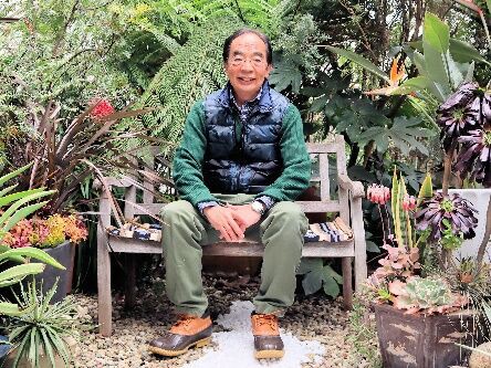 人気のシルバーティーツリー : Alex's Garden Party♪