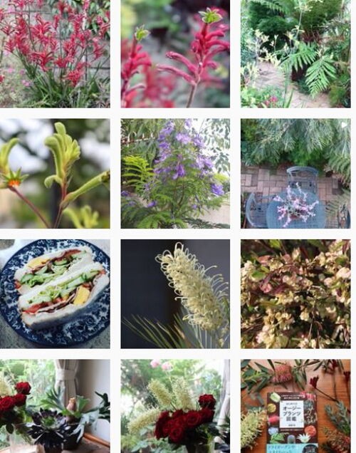 インスタ1周年 Alex S Garden Party