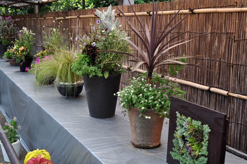 置き鉢園芸の技法について サラリーマンの趣味の卒業小論文５年後の検証１５ Alex S Garden Party