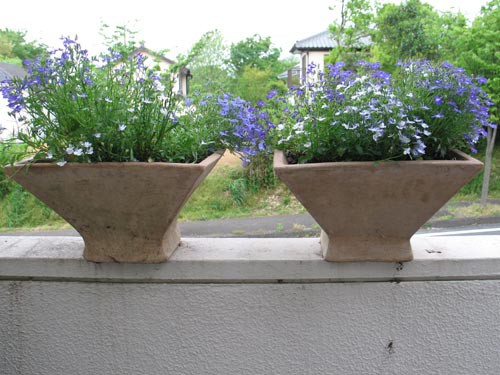 初夏を夢見て その５ Alex S Garden Party