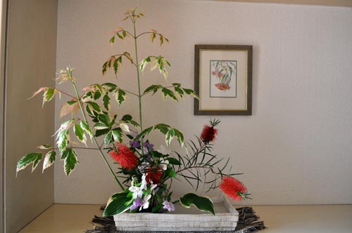 庭の植物で活け花 Alex S Garden Party