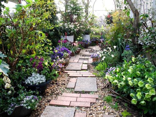 クリスマスローズ 新しい庭におすすめの植物シリーズ １７ Alex S Garden Party