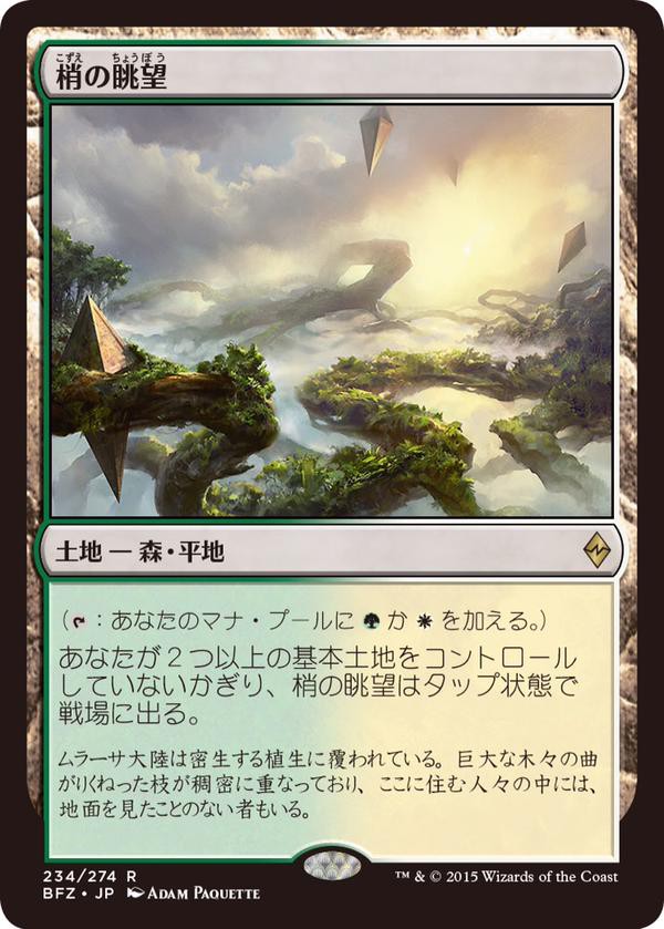 MTG 大地の知識 ２枚セット 日)大地の知識 / Earthcraft【TMP】 No.222｜MtG通販サイト