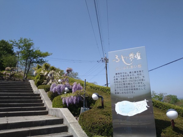 ふじの咲く丘公園 Aliceの編み物 ふじの咲く丘公園 Aliceの編み物