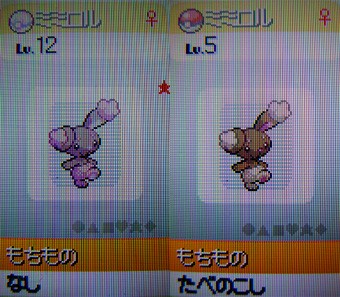 ポケモンキッズ 色違い ポッチャマ ナエトル ミミロル ポケモン