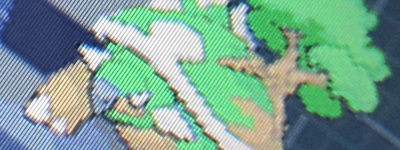 Pcyのドダイトス 受け取ったぜ 有栖のポケモン日記