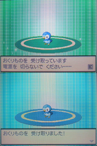 うたうポッチャマ ブラック2 ホワイト2にwi Fi配信中 有栖のポケモン日記