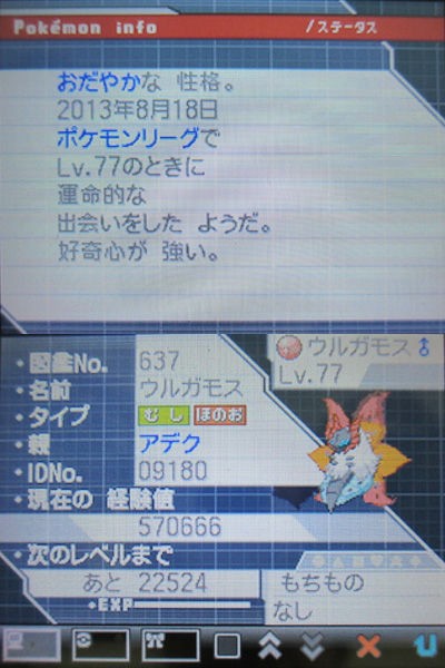 ポケモンゲームショー 歴代チャンピオンポケモン配信受け取ったぜ 有栖のポケモン日記