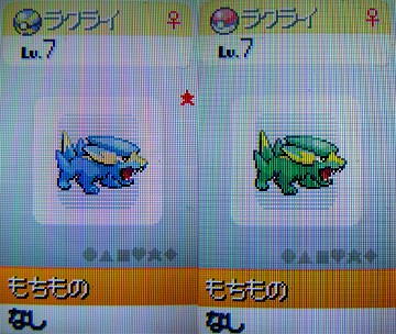 色違いラクライgetだぜ 有栖のポケモン日記