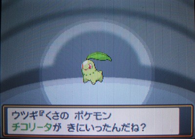君に決めた ポケモン図鑑もgetだぜ 有栖のポケモン日記