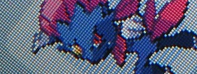 WORLD09のWEAVILE、GETだぜ!!!!! : 有栖のポケモン日記