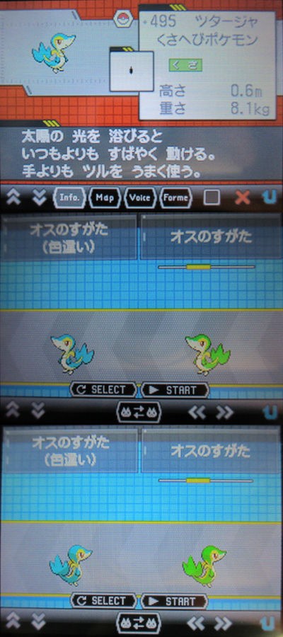 色違いツタージャ タマゴが孵ってgetだぜ 有栖のポケモン日記