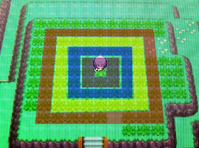 ポケトレ連鎖の方法 第4回 全5回 有栖のポケモン日記