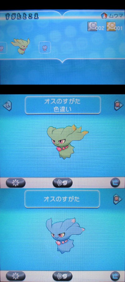 色違いムウマ タマゴが孵ってgetだぜ 有栖のポケモン日記