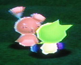 色違いポケモンを牧場に放ってみました 2 有栖のポケモン日記