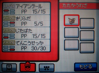 WCSの色違いイーブイ、受け取ったぜ!!!!! : 有栖のポケモン日記