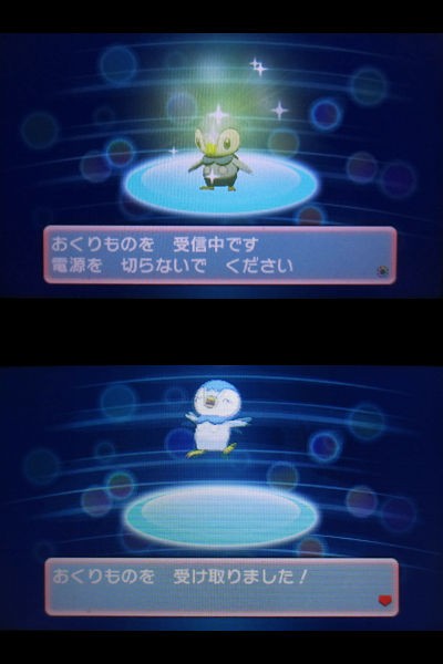 ポケモンセンター トウキョーフィナーレのポッチャマをご紹介 有栖のポケモン日記