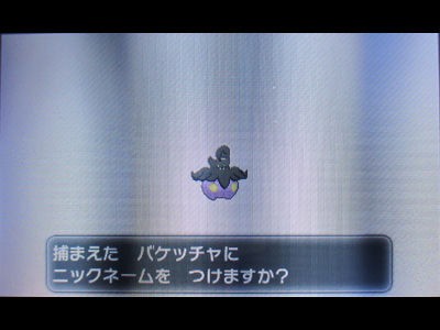 色違いバケッチャ フレンドサファリでgetだぜ 有栖のポケモン日記